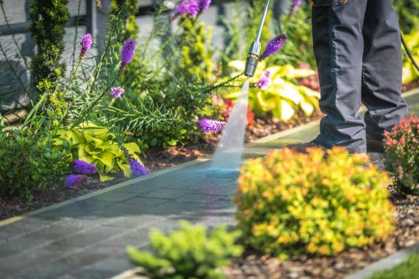 Best Patio and Deck Pressure Washing  in Haslet, TX